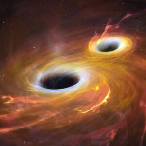 Black Holes